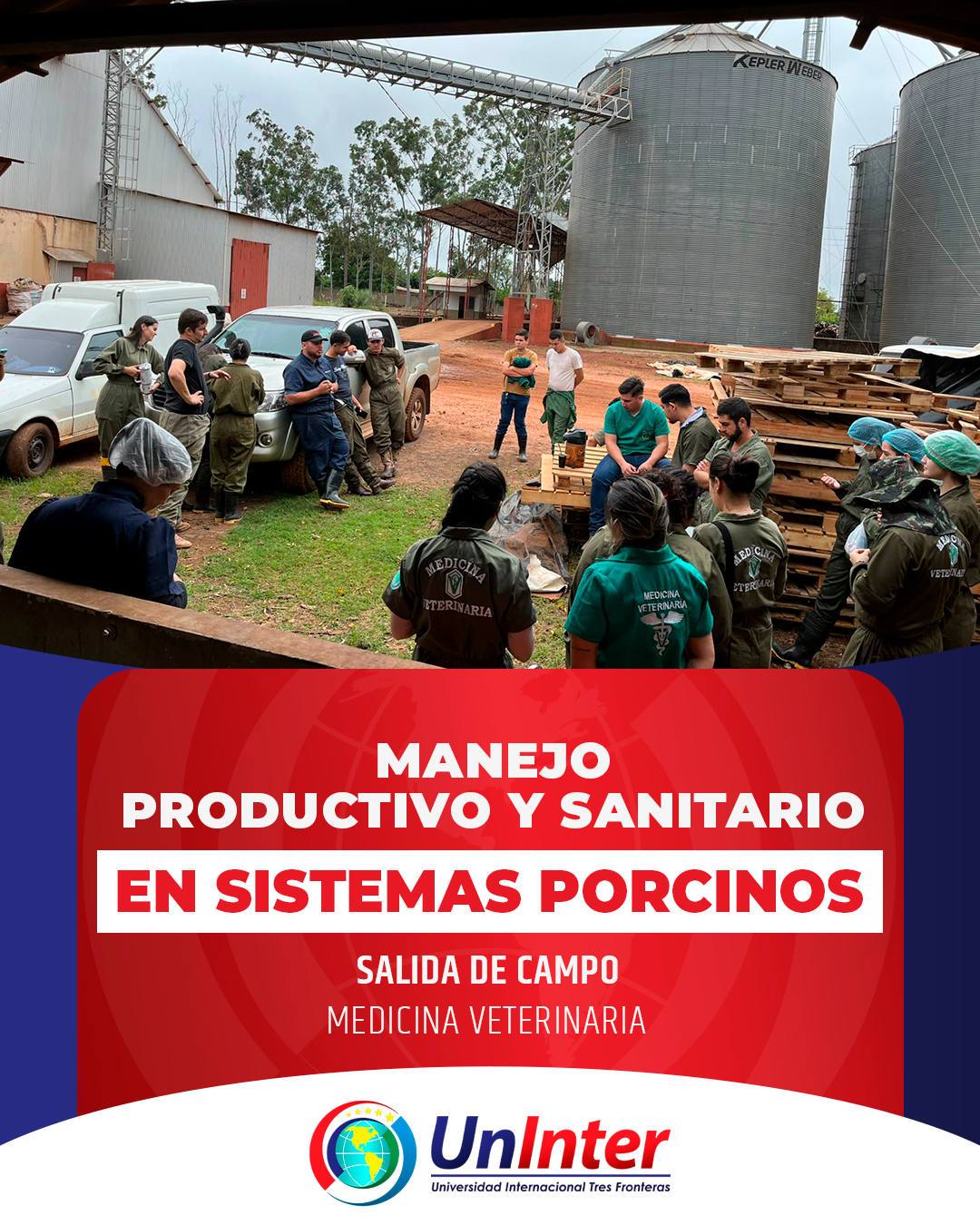 Manejo Productivo y Sanitario en sistemas porcinos